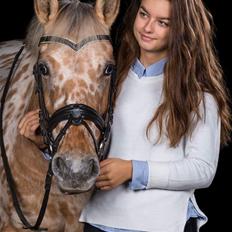 Anden særlig race Rex