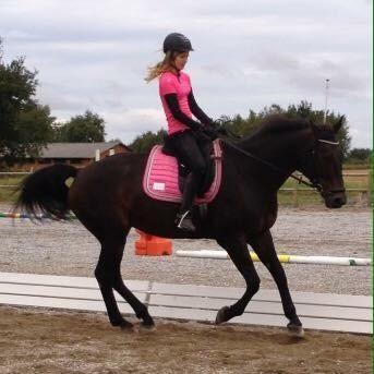 Anden særlig race Ciona billede 3