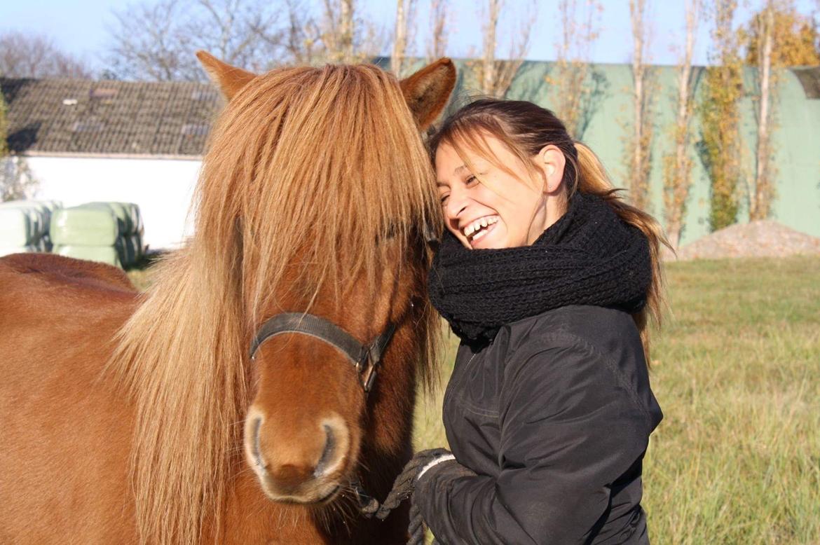 Islænder Hlynur fra Søholm billede 1