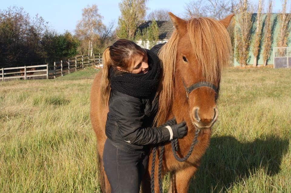 Islænder Hlynur fra Søholm billede 4
