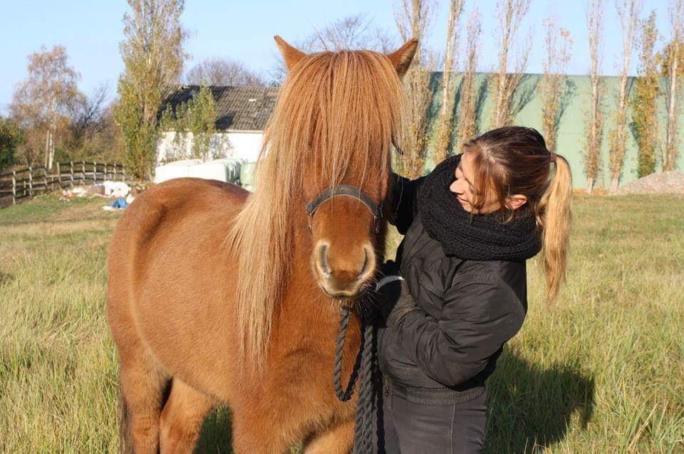 Islænder Hlynur fra Søholm billede 9