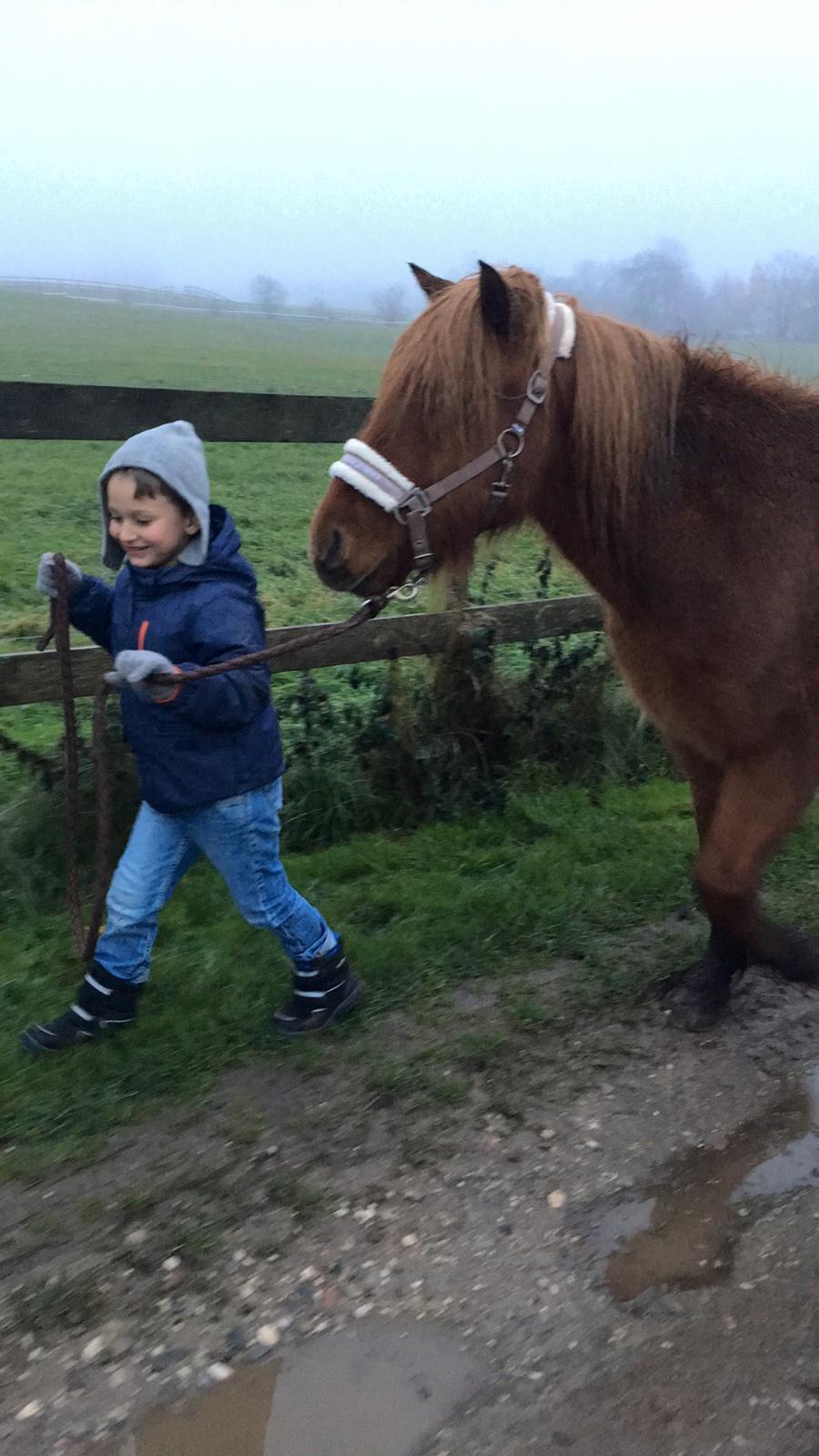 Islænder Hlynur fra Søholm billede 5