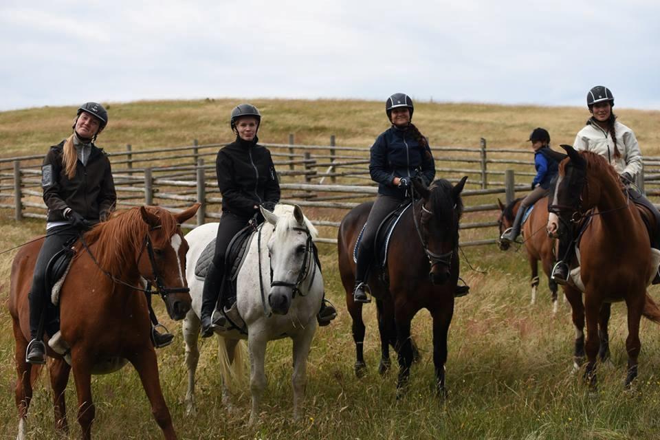 Anden særlig race Ryttergårdens Fighter - Bedste team billede 5