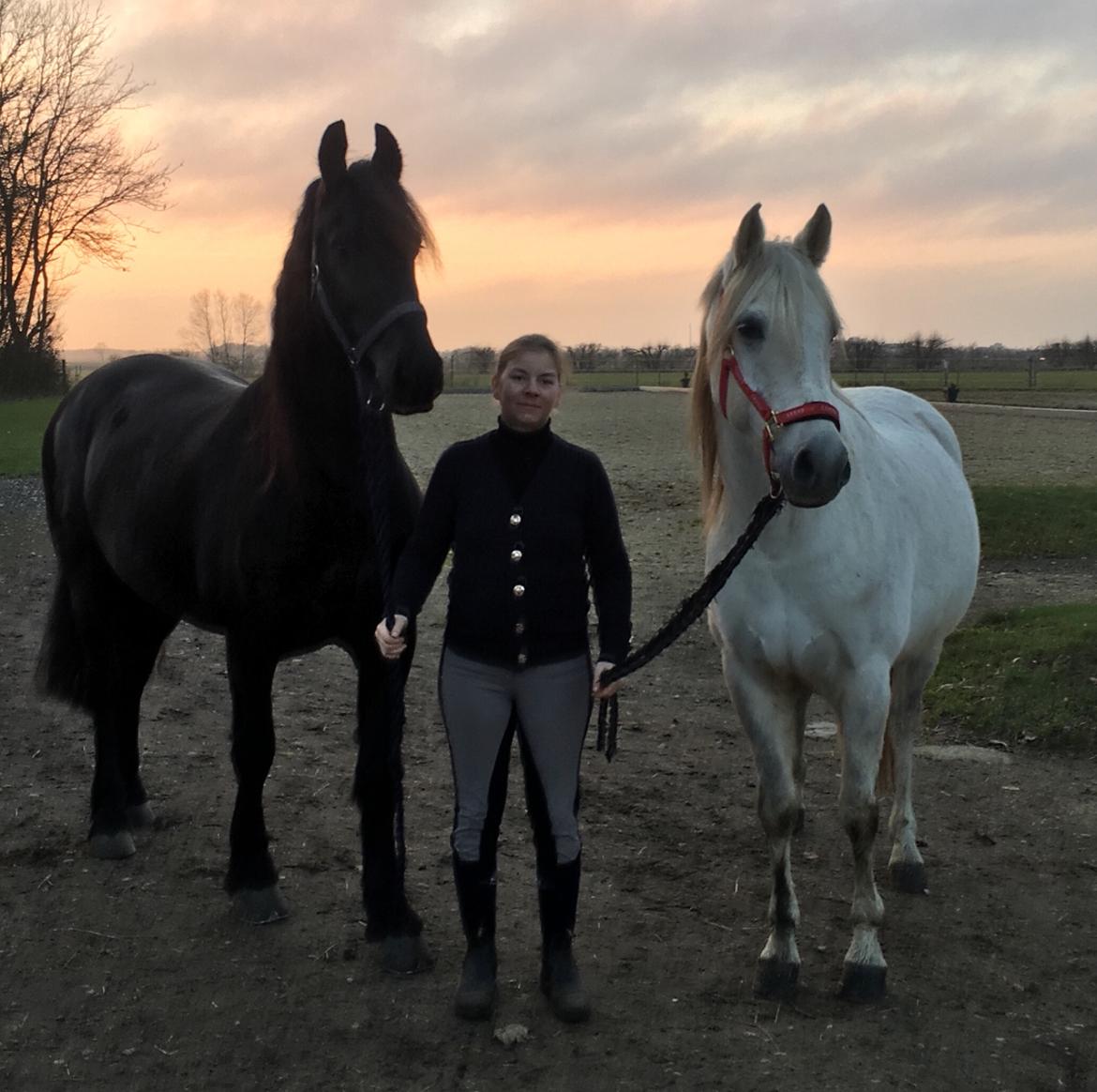 Frieser Barik billede 47