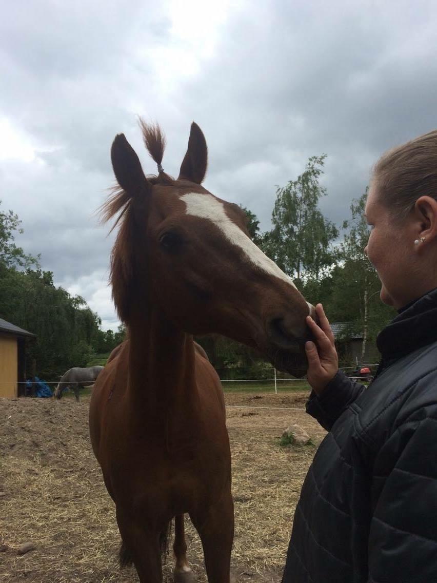 Anden særlig race Madison - Man er vel lidt fræk billede 4