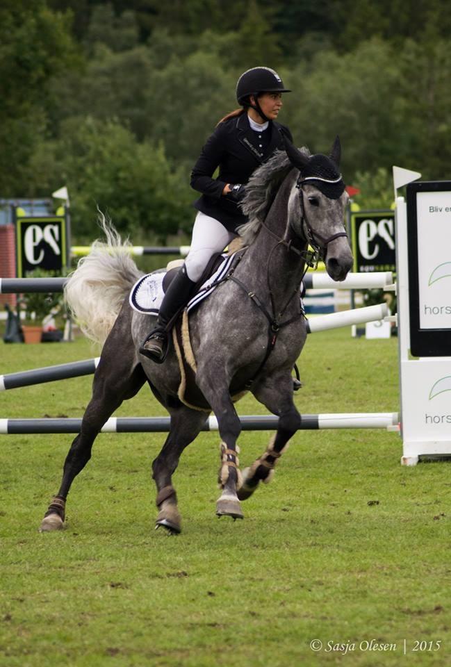 Holstener Carindo - Jysk Rideuge i Silkeborg billede 8