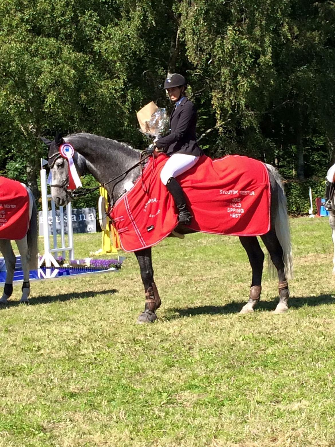 Holstener Carindo - Vinder af Sydjysk Mesterskab for hold 2015 i Aabenraa Rideklub billede 17