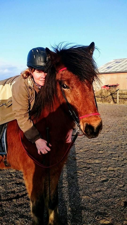 Islænder Lukas fra Rendborg aka Fisken billede 5