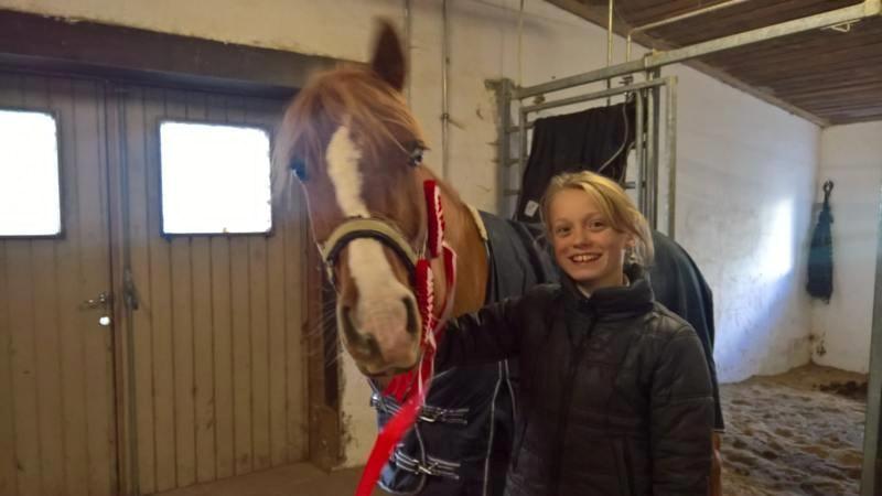 DSP Haahrs metro billede 1