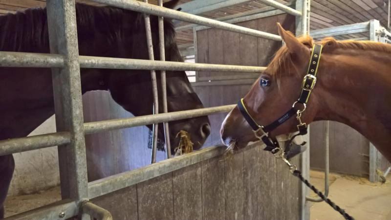 DSP Haahrs metro billede 3