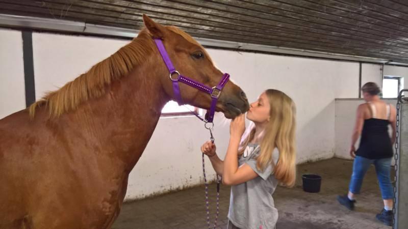 DSP Haahrs metro billede 4