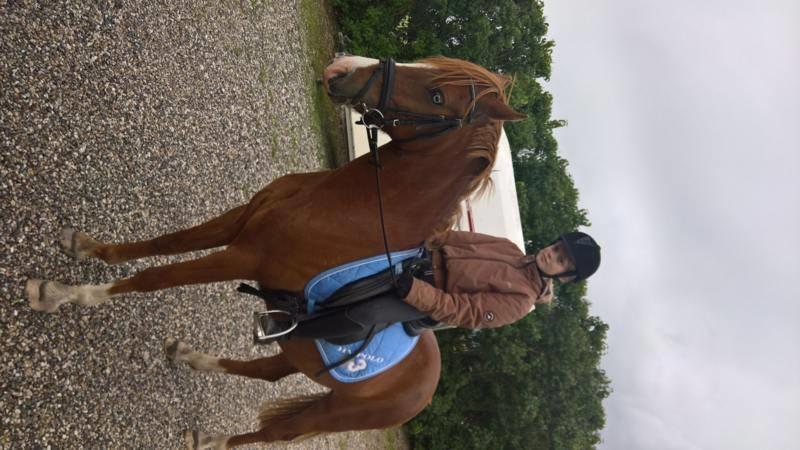 DSP Haahrs metro billede 5