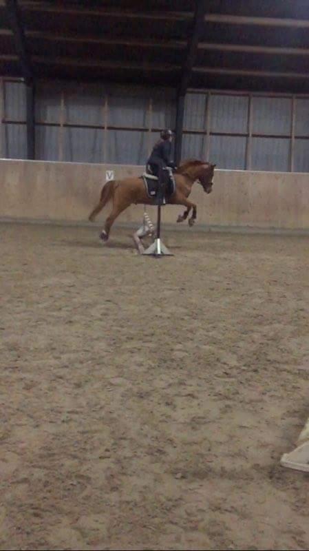 DSP Haahrs metro billede 6