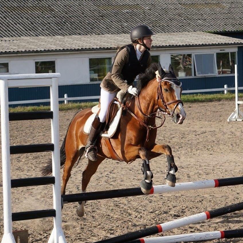 New Forest Sun Queen - Første stævne efter hendes skade. Vi vandt klassen. :) billede 4