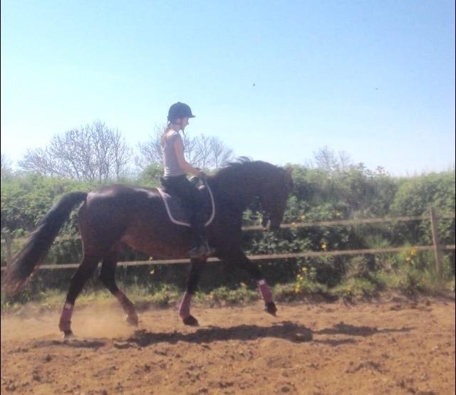 Oldenborg Lara billede 3