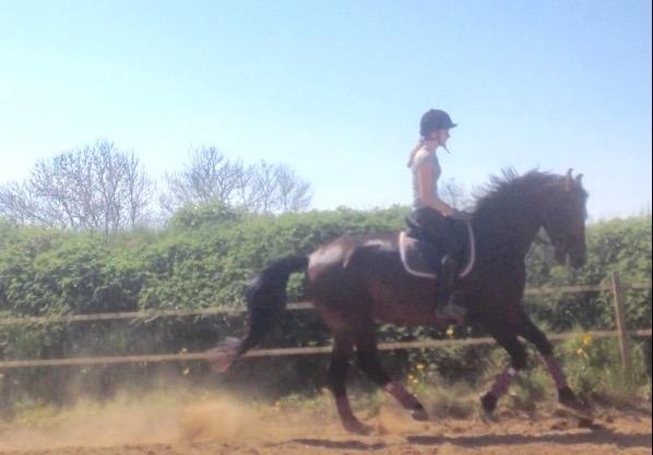 Oldenborg Lara billede 4