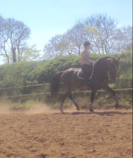 Oldenborg Lara billede 6