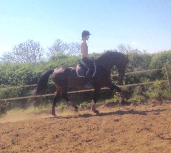 Oldenborg Lara billede 5