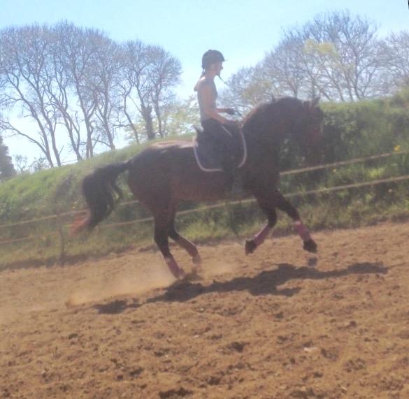 Oldenborg Lara billede 7