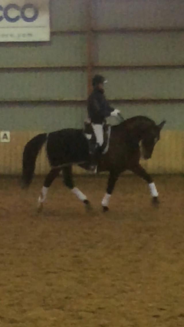 Oldenborg Lara billede 11