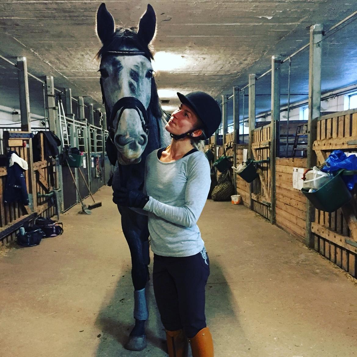 Holstener Le Caméléon Du Classé billede 18