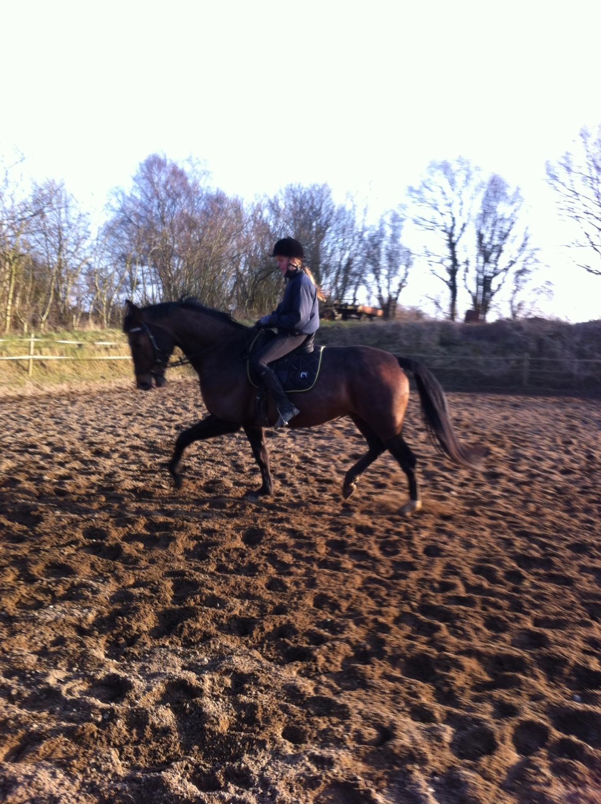 Oldenborg Lara billede 12