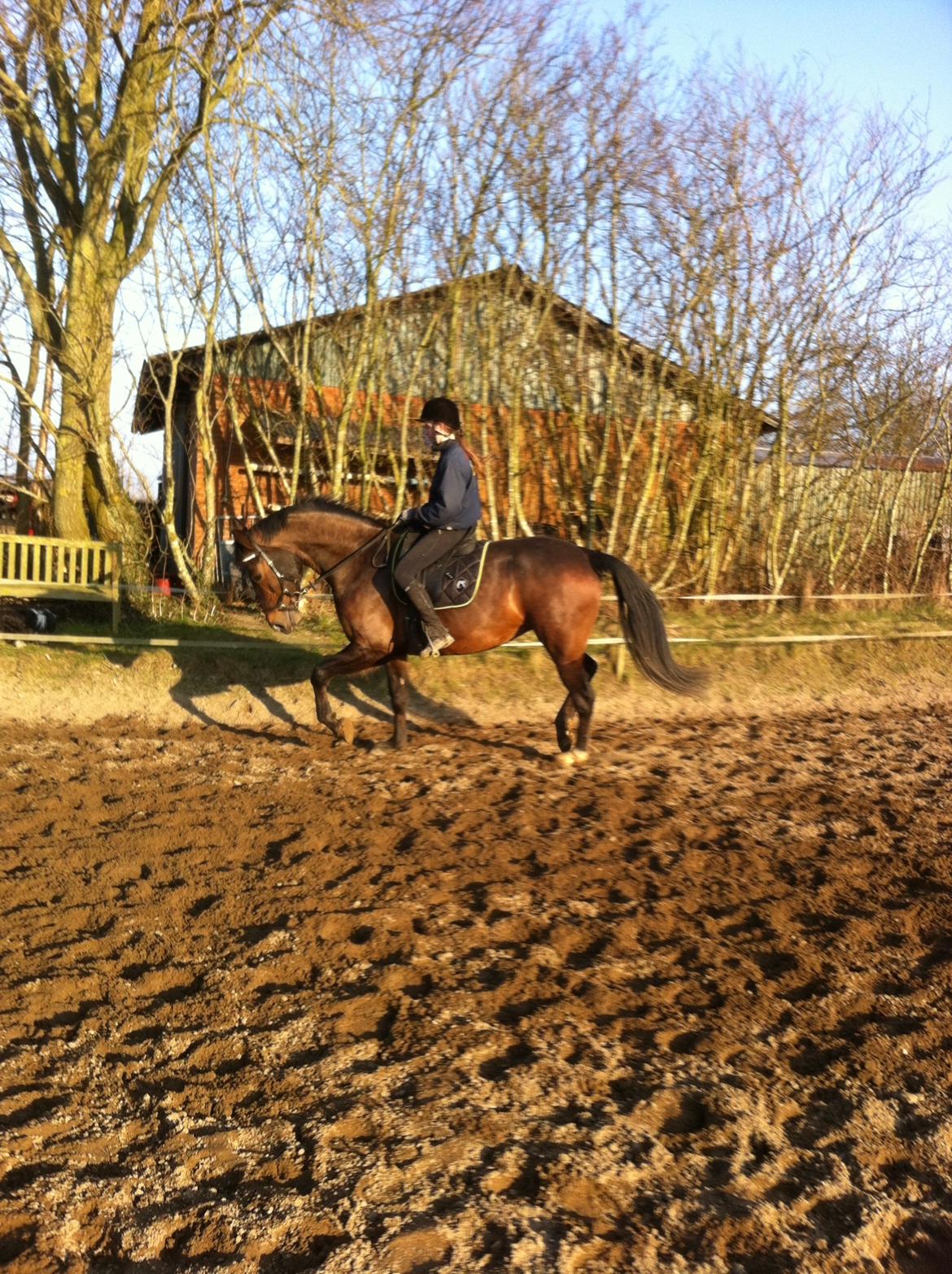 Oldenborg Lara billede 13