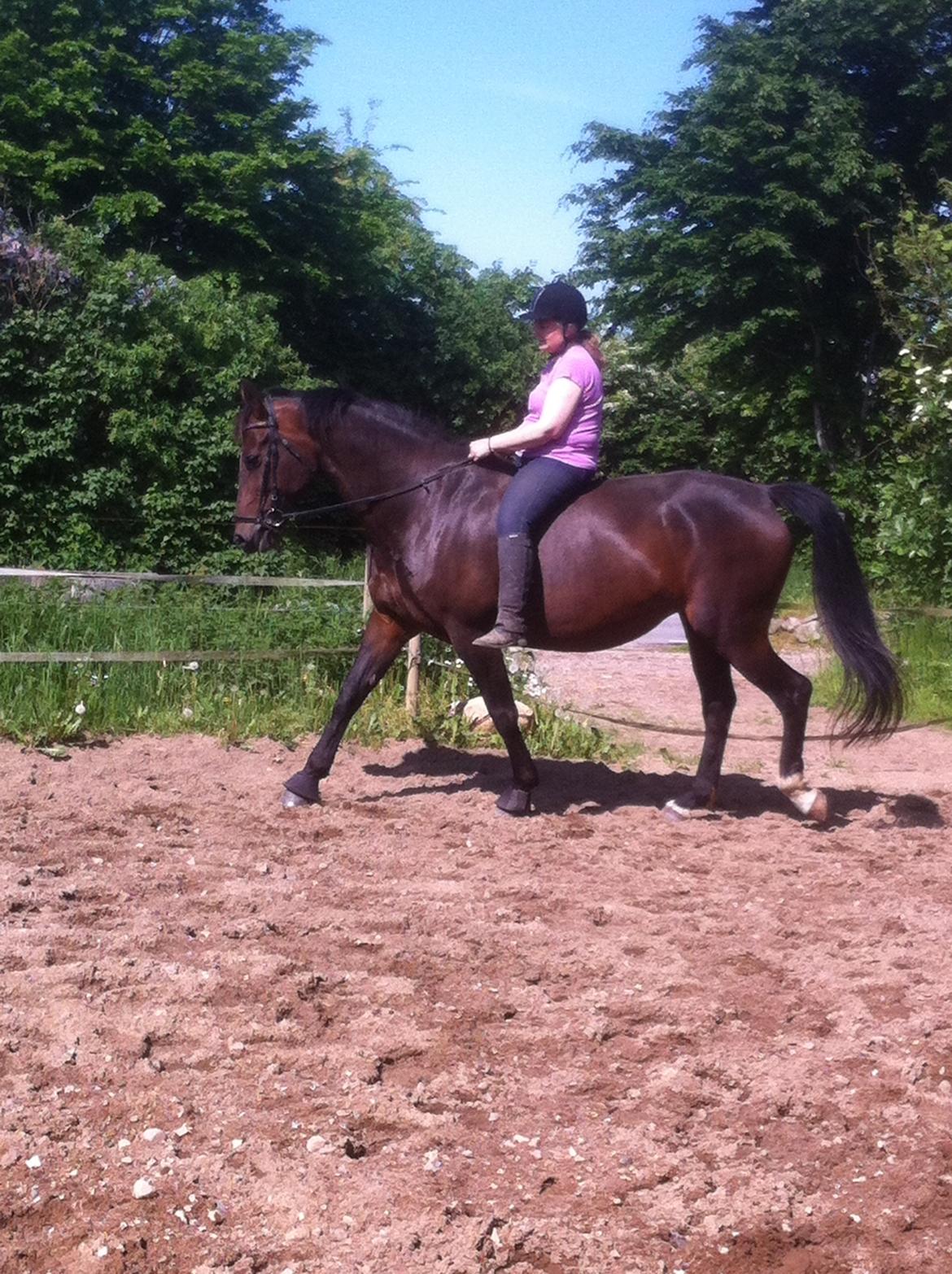 Oldenborg Lara billede 16