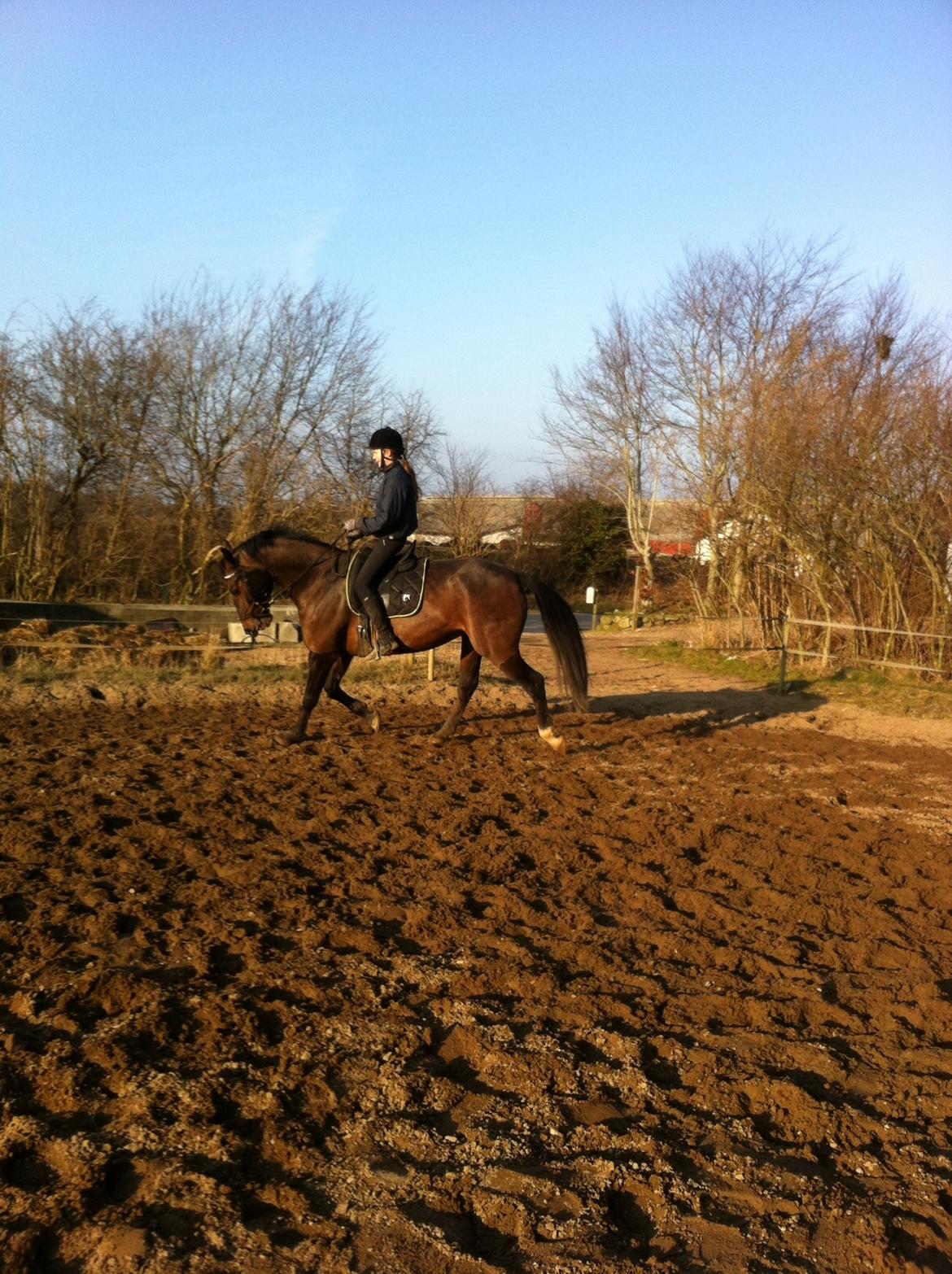 Oldenborg Lara billede 14