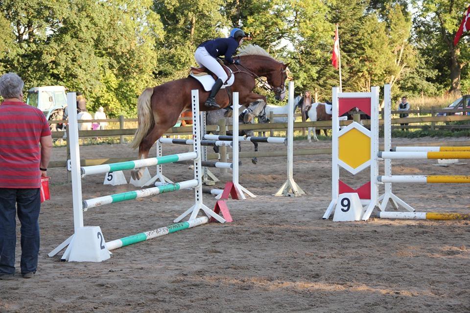 Frederiksborg Skovvanggårdens Bunnie billede 1
