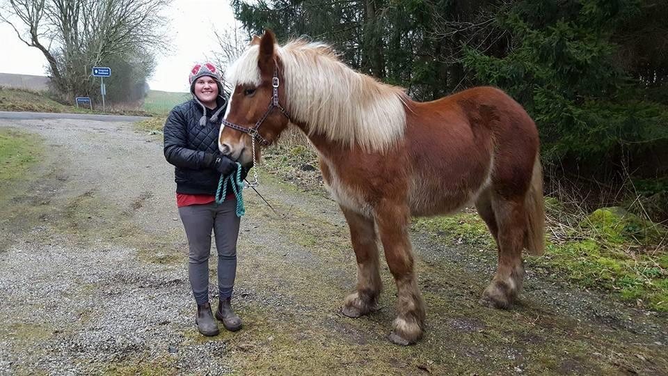 Belgier Samson af søtofte - 05.02-2017 billede 7