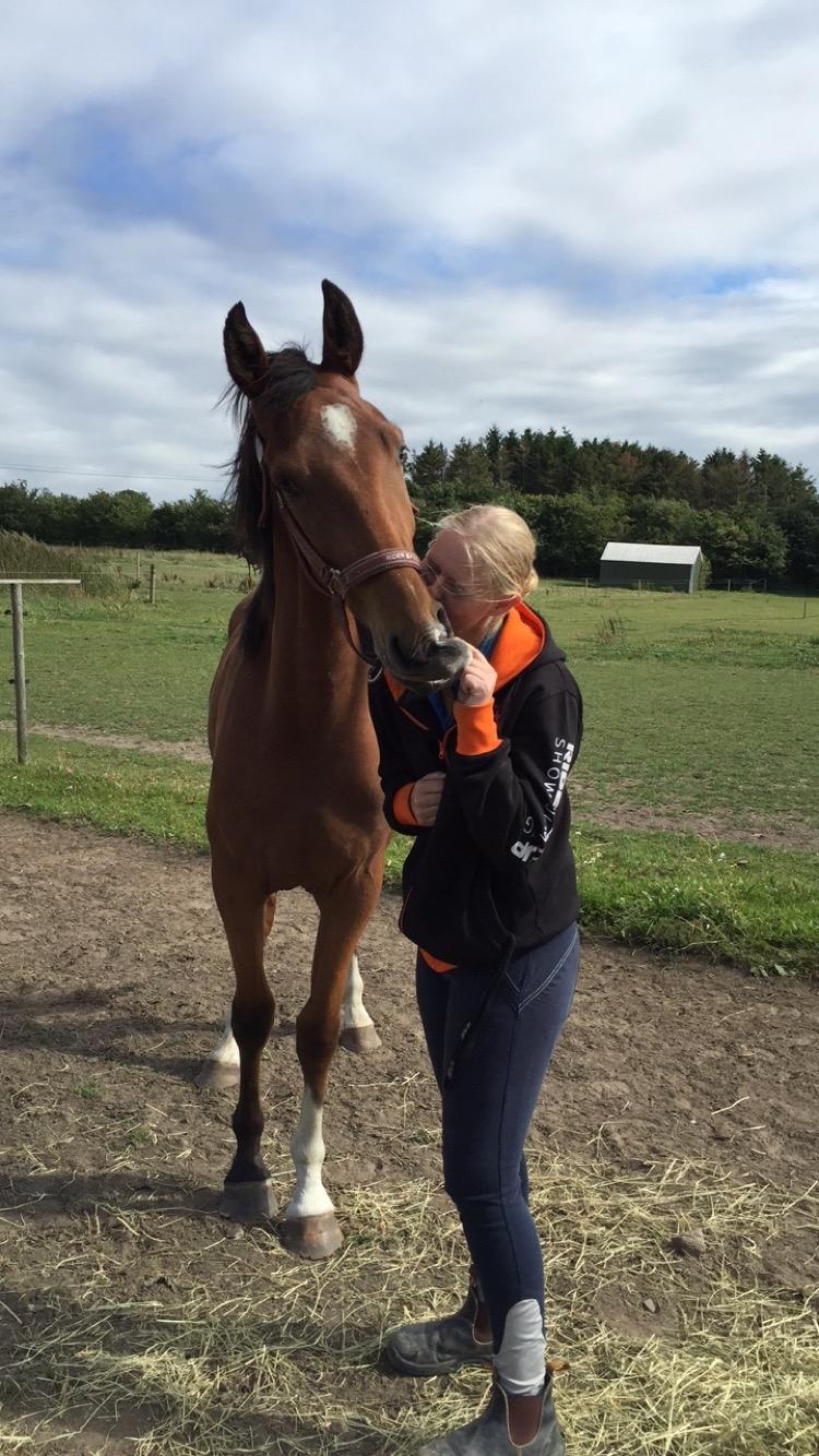 Anden særlig race Ozzerios "Ozzy" billede 10