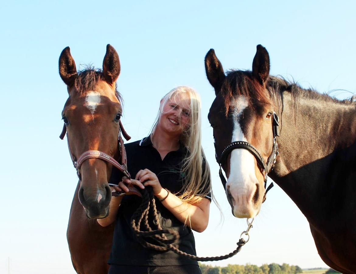 Anden særlig race Ozzerios "Ozzy" billede 11