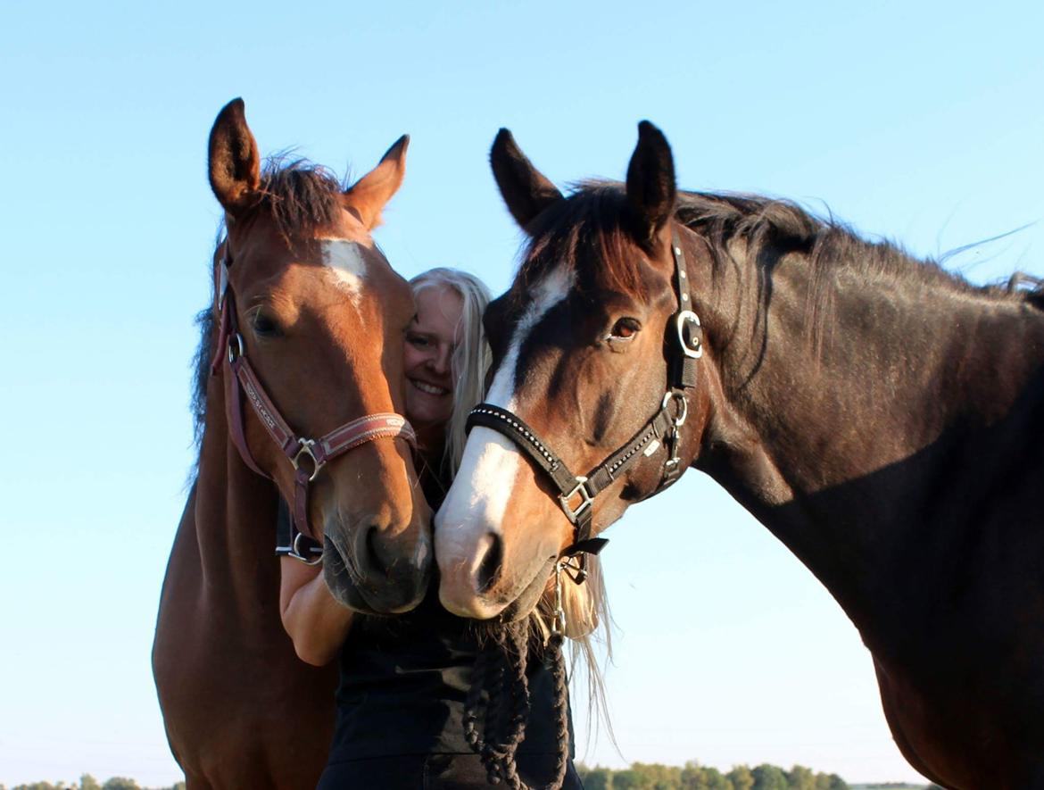 Anden særlig race Ozzerios "Ozzy" billede 12