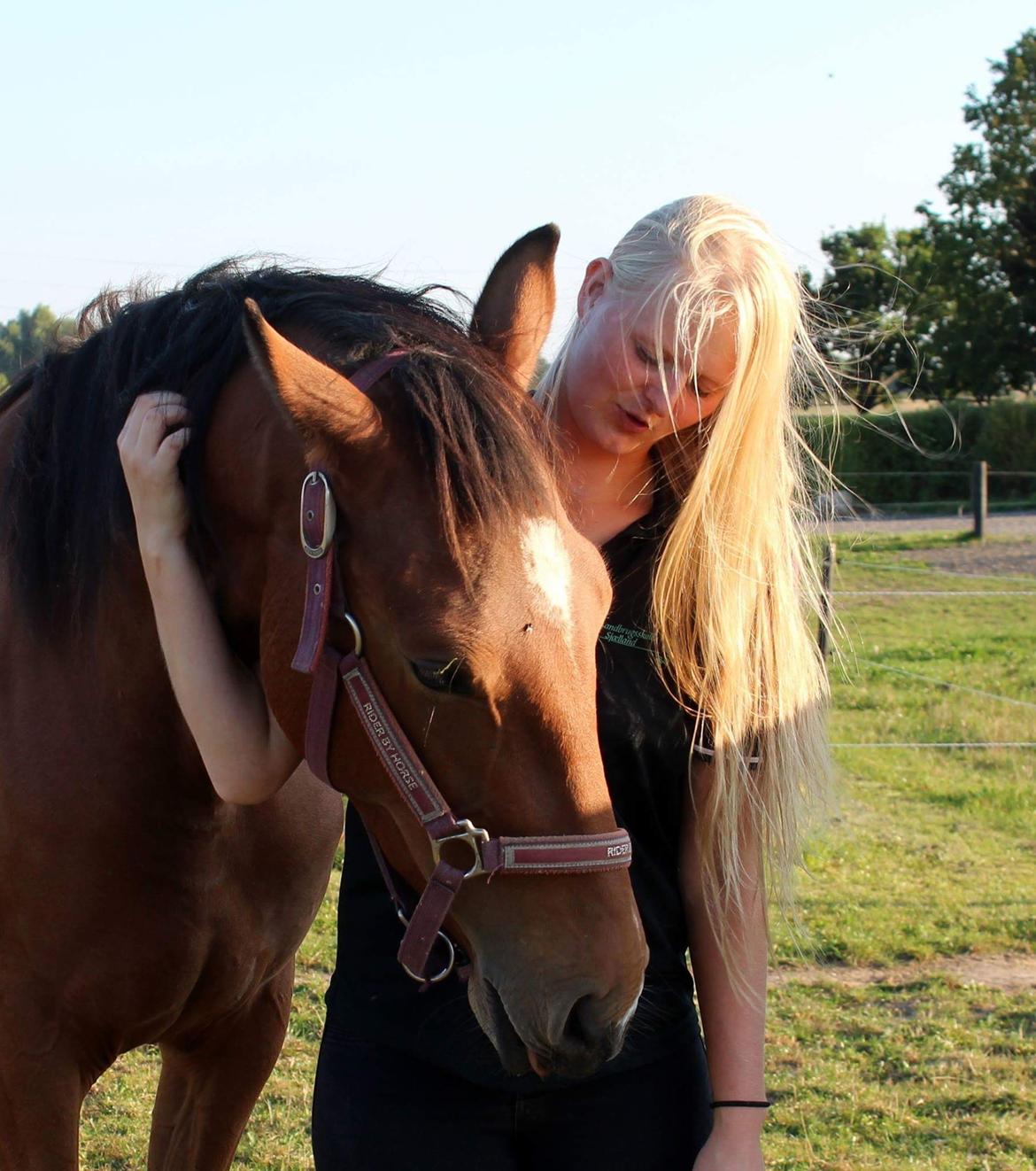 Anden særlig race Ozzerios "Ozzy" billede 2