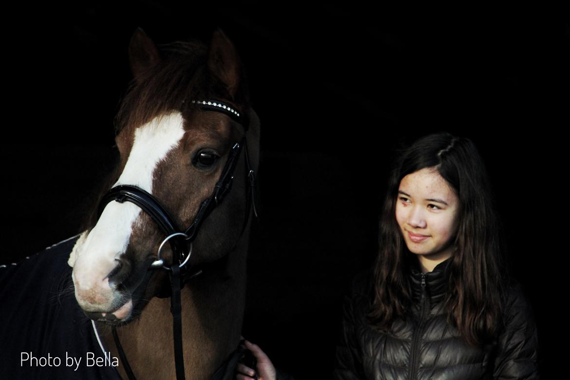 New Forest Nobel suprise billede 2