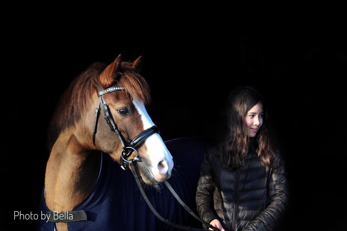 New Forest Nobel suprise - Alle billederne er fra vores første photoshoot :D billede 1