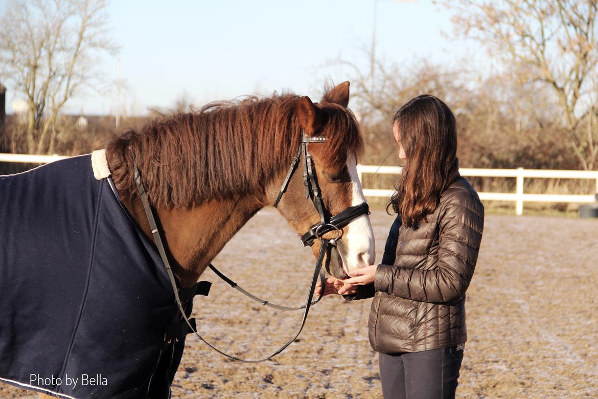 New Forest Nobel suprise billede 7