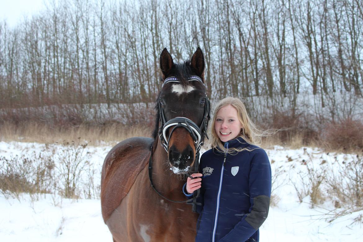 DSP Præst's zedan billede 12