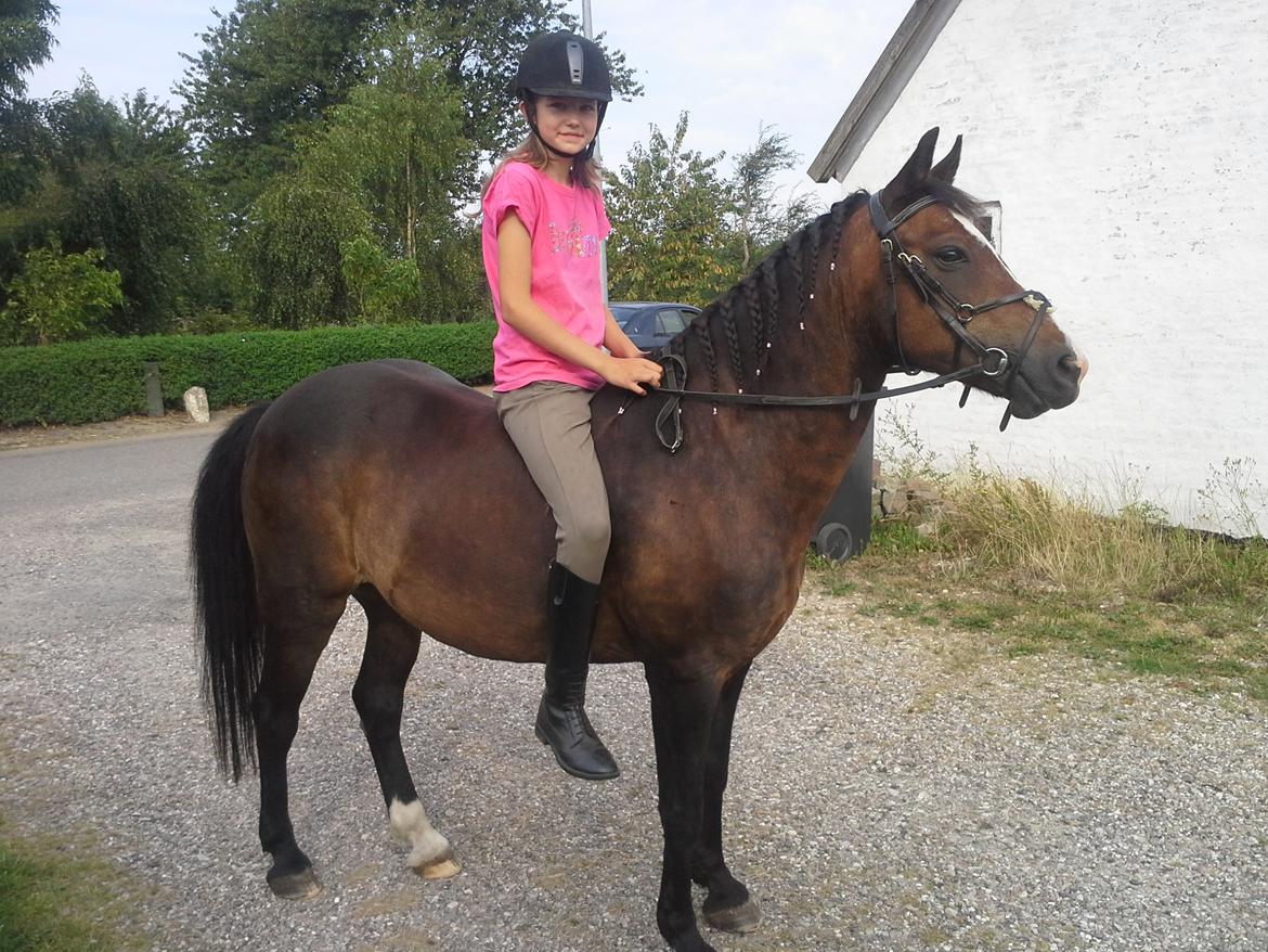 New Forest La Fayette Skovly billede 17