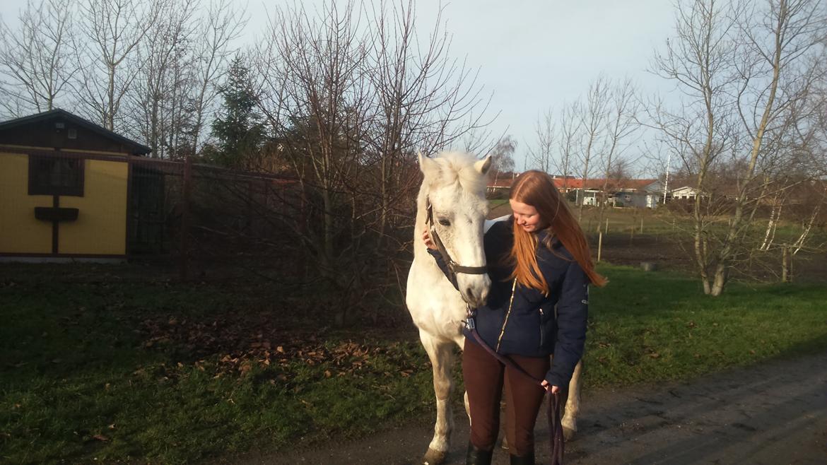 Connemara Maskenkol´s Calimero billede 4