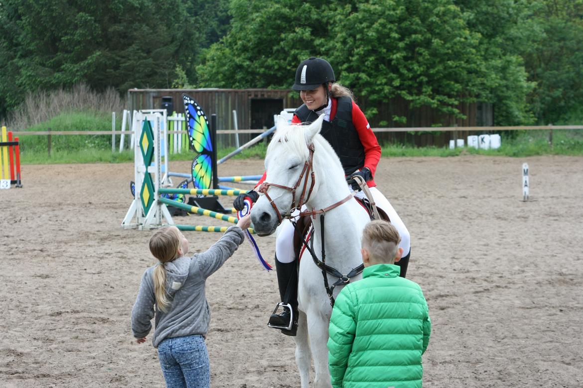 Anden særlig race Sleipner - Dygtig pony! billede 15