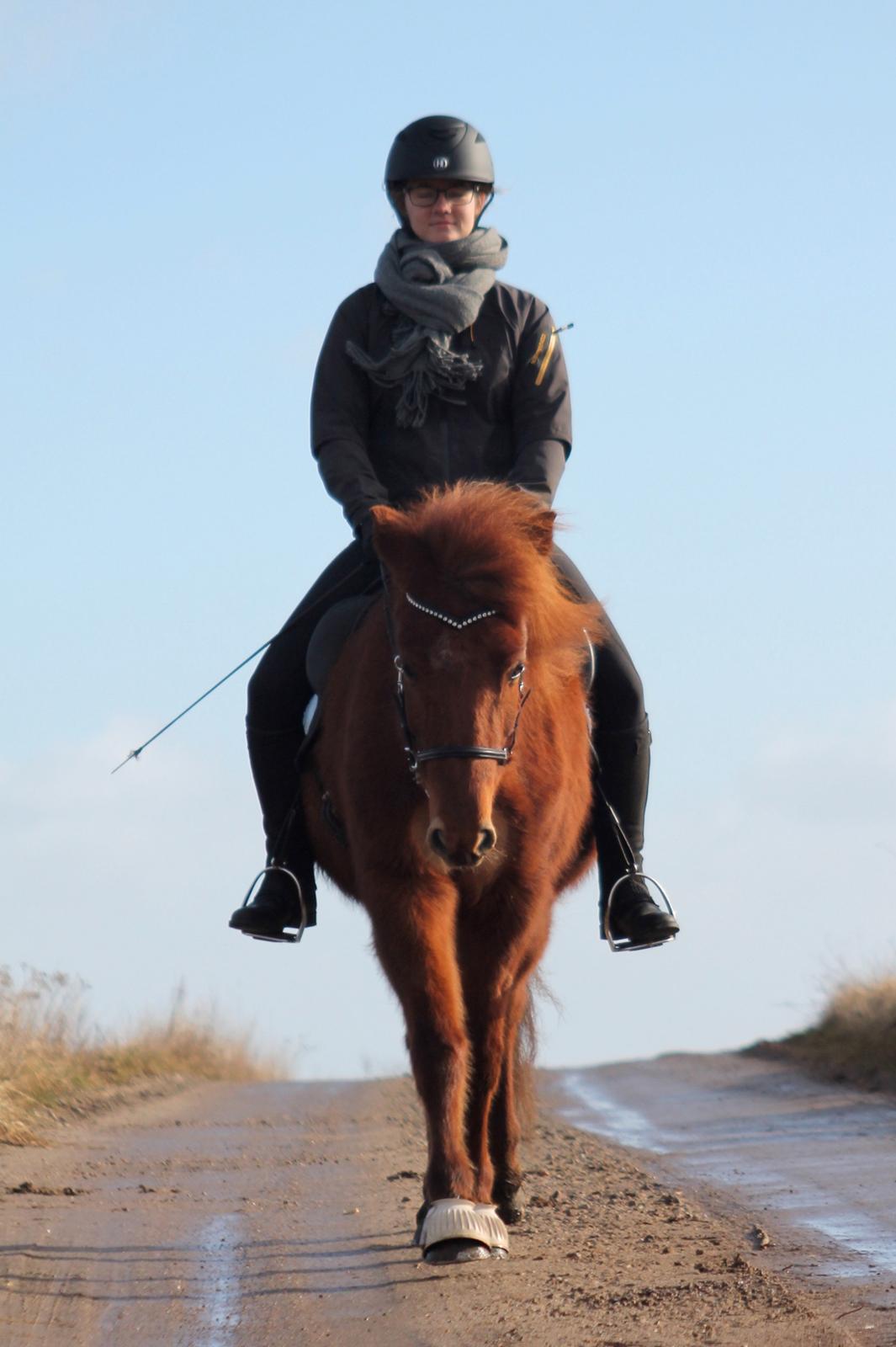 Islænder Hátið fra Klosterheden billede 12