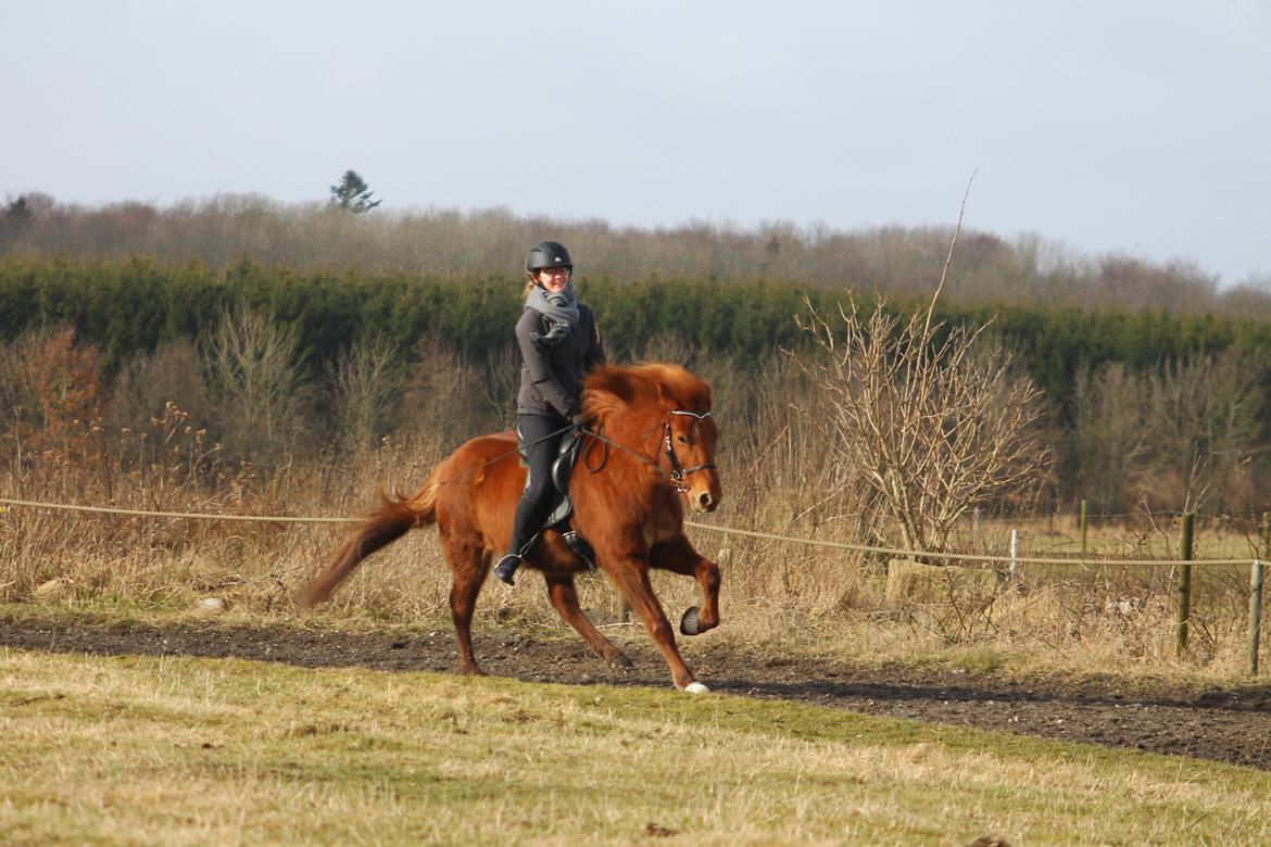 Islænder Hátið fra Klosterheden billede 13