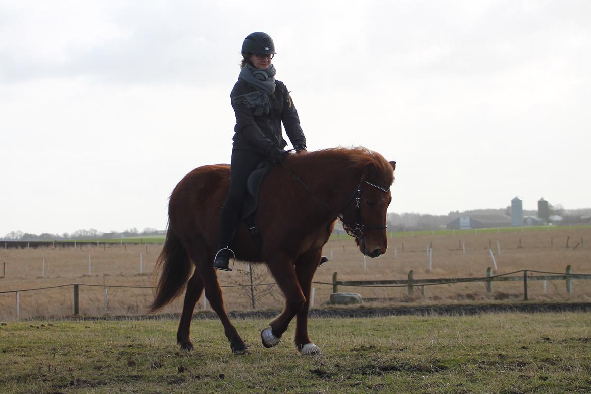 Islænder Hátið fra Klosterheden billede 4