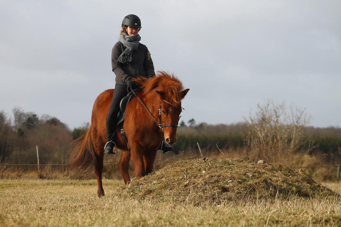 Islænder Hátið fra Klosterheden billede 19