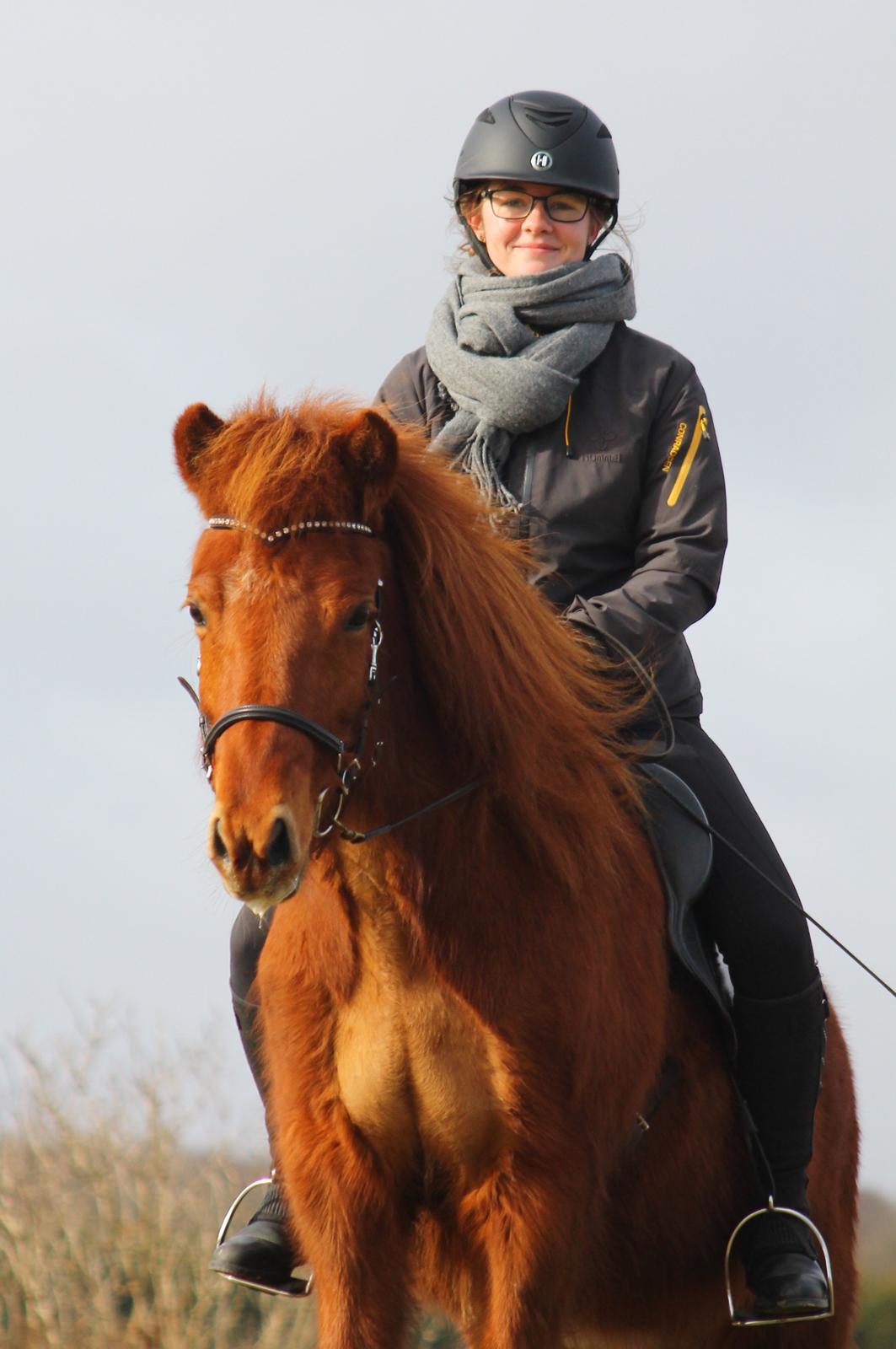 Islænder Hátið fra Klosterheden billede 1