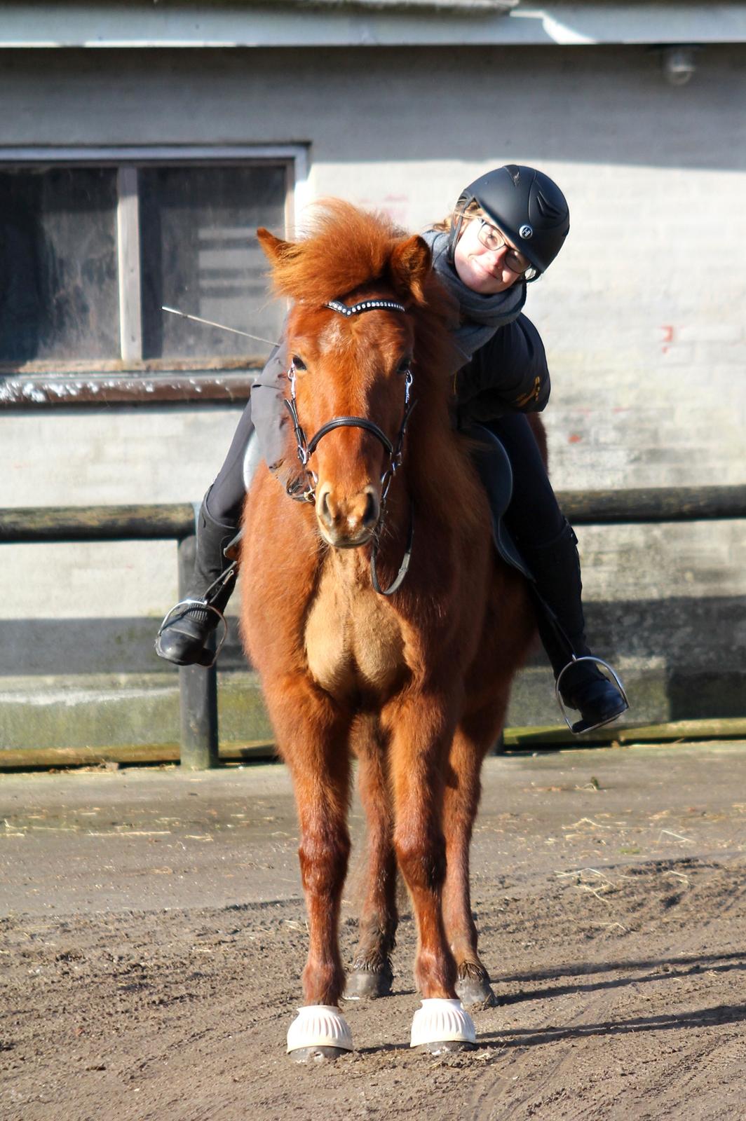 Islænder Hátið fra Klosterheden billede 20