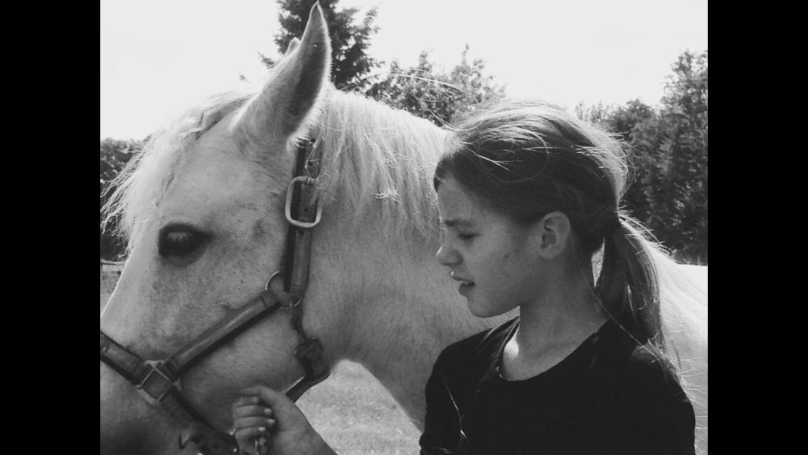 Anden særlig race Torpegaards Maddy billede 12