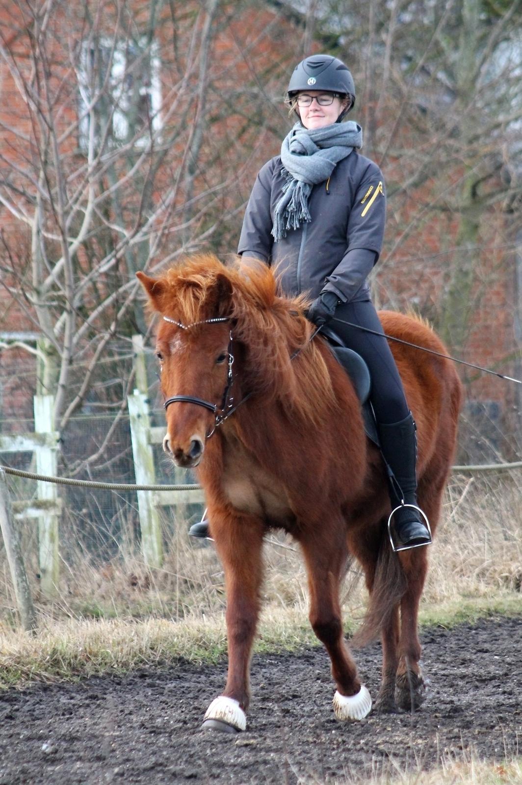 Islænder Hátið fra Klosterheden billede 10
